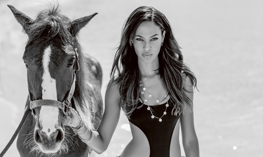 The 2015 Victoria's Secret Swim Special