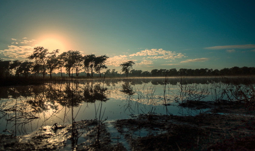 Gorongosa - Ein Paradies kehrt zurück