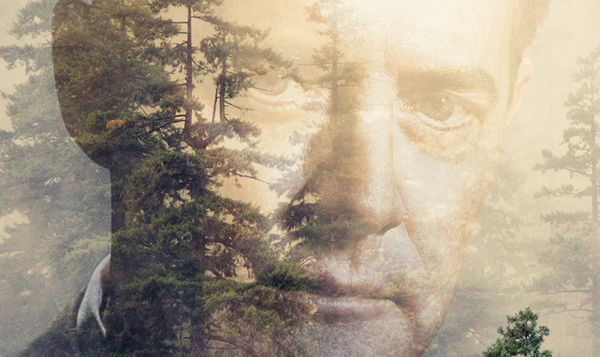 Twin Peaks - Staffel 3