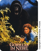Gorillas im Nebel