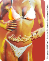 Hardbodies
